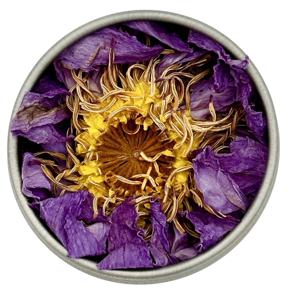 Lōtus Incense Wyld Witchery